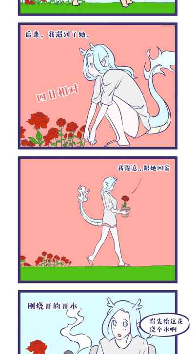 第11页图