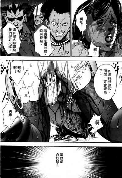 第111頁圖