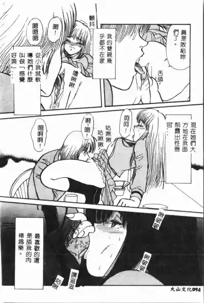 第95页图