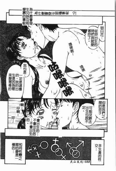 第91頁圖