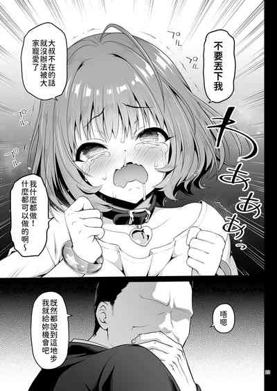 第23页图