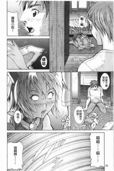 第27頁圖