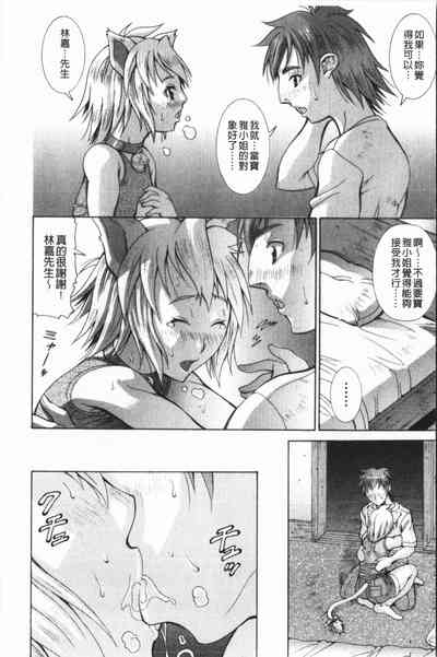 第31頁圖