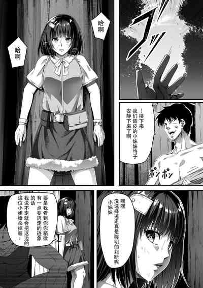 第3页图
