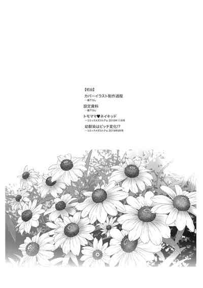 第255頁圖