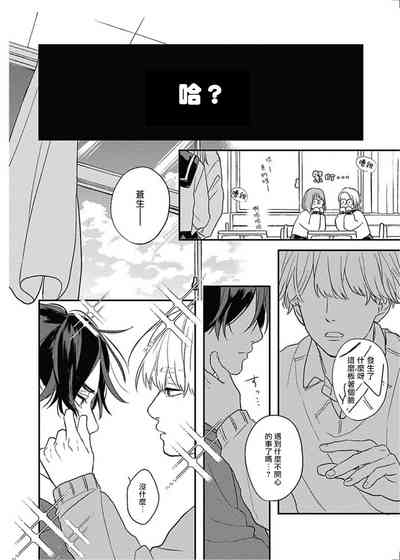 第43頁圖