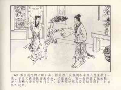 第255頁圖