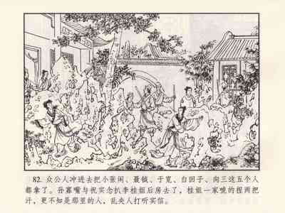 第543頁圖