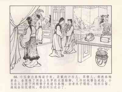 第255页图