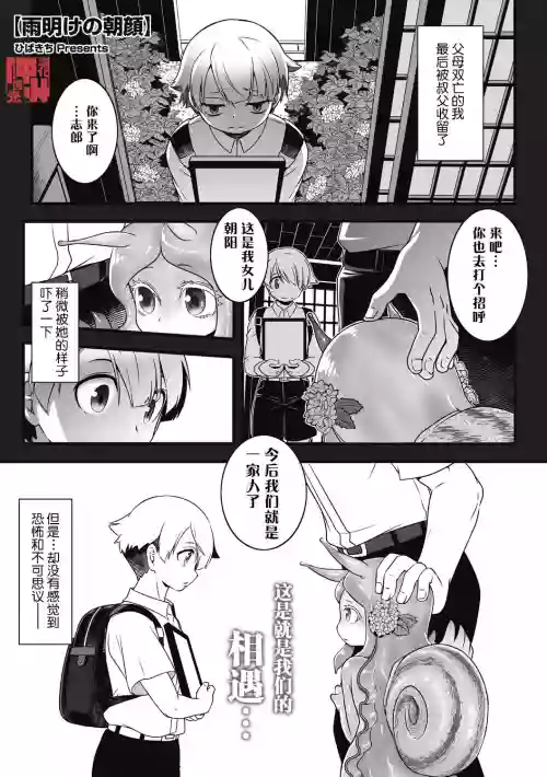 Ameake no Asagao | 雨晴后的牵牛花图