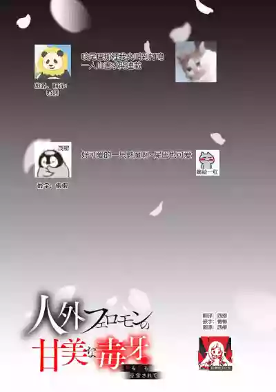 第19页图