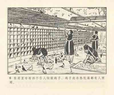 第135頁圖