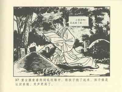 第247頁圖