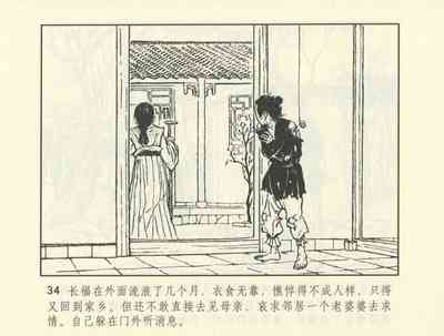 第507頁圖