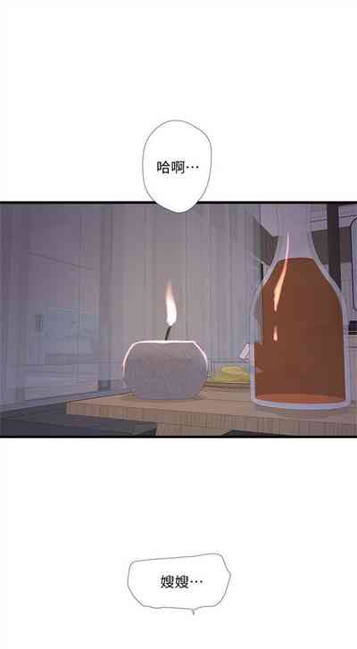 第295頁圖