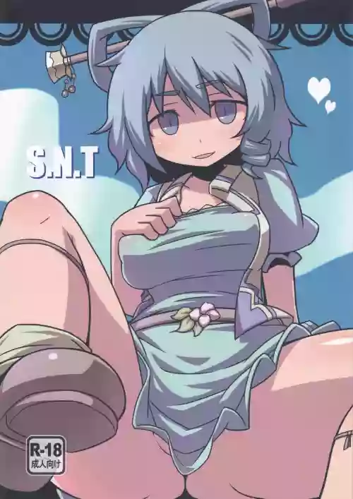 S.N.T圖