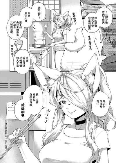 第243頁圖