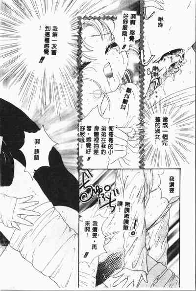 第31頁圖