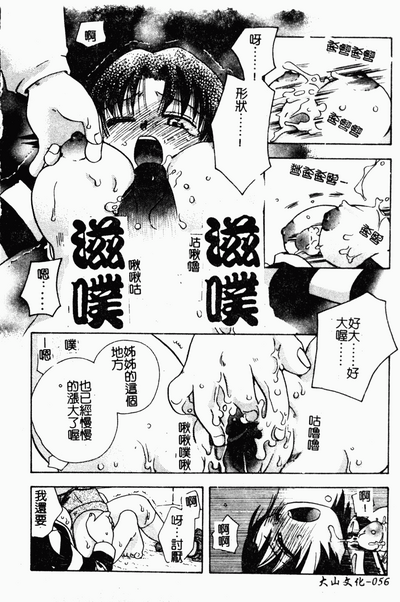 第55頁圖