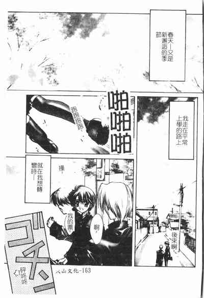 第31頁圖
