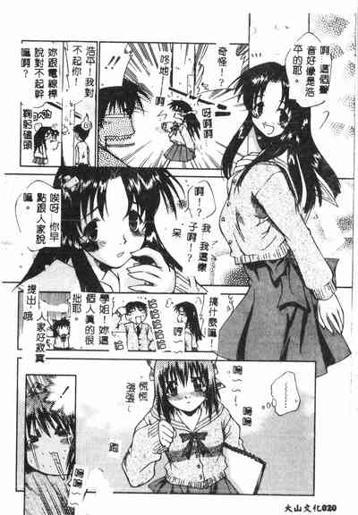 第19頁圖