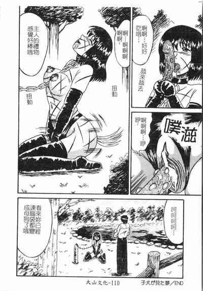 第111頁圖