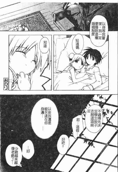 第19頁圖