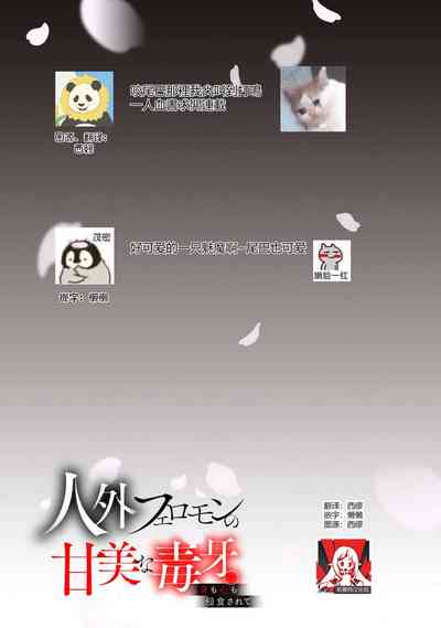 第19页图