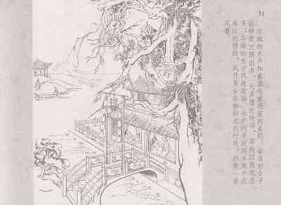 第35頁圖