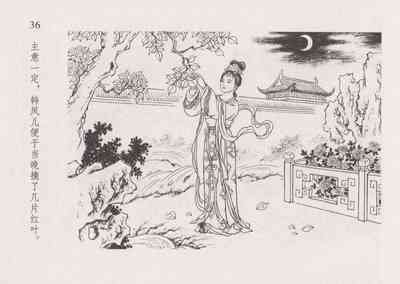 第43頁圖