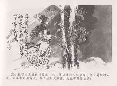 第35頁圖