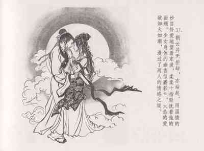 第43頁圖