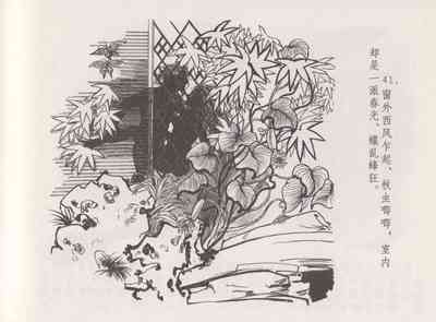 第47頁圖