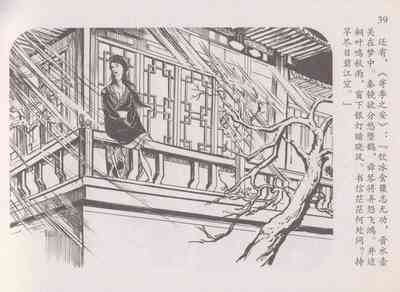 第43頁圖