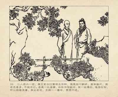 第43頁圖