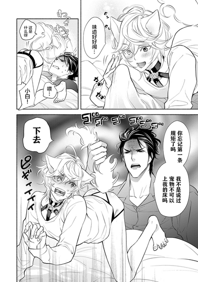 第31页图