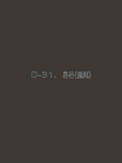 第31頁圖