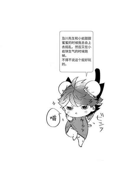 第11页图