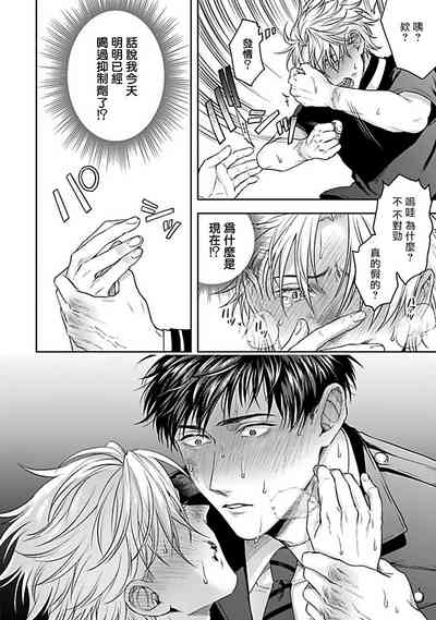 第115頁圖