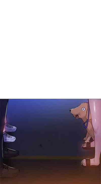 第251頁圖