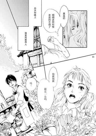 第11页图