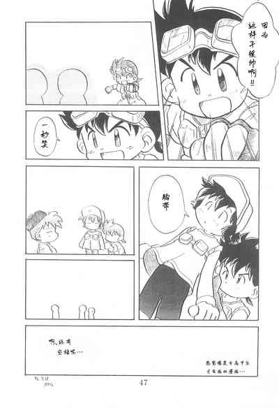 第47頁圖