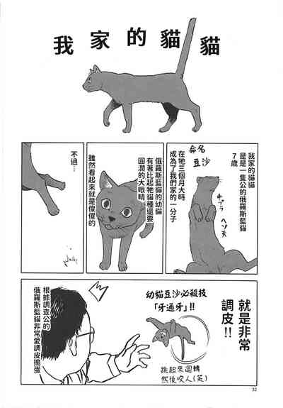 第31頁圖