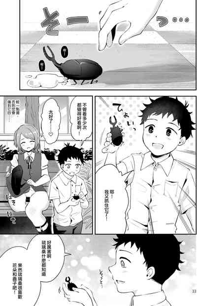 第31頁圖