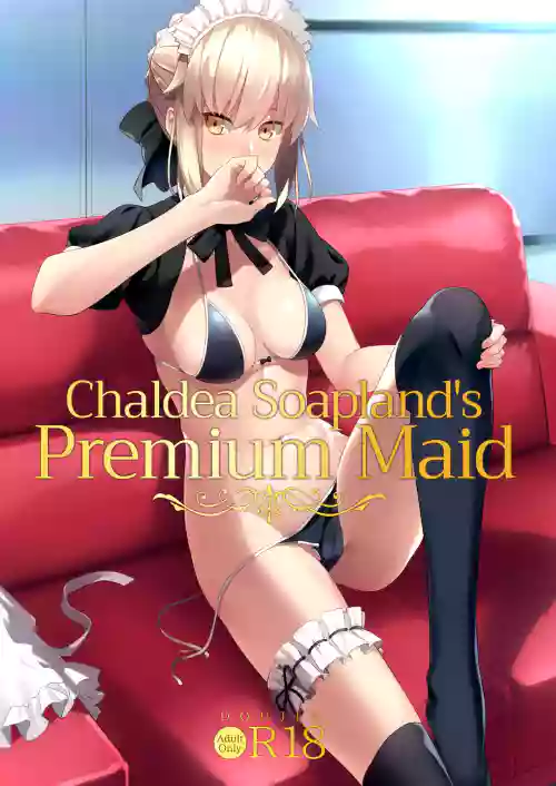 カルデアソープSSS级ご奉仕メイド图