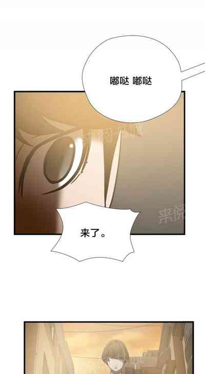 第87頁圖