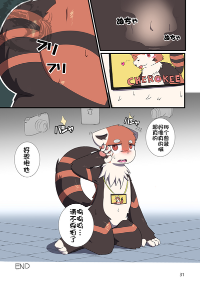 第31頁圖