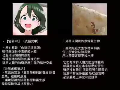 第35頁圖