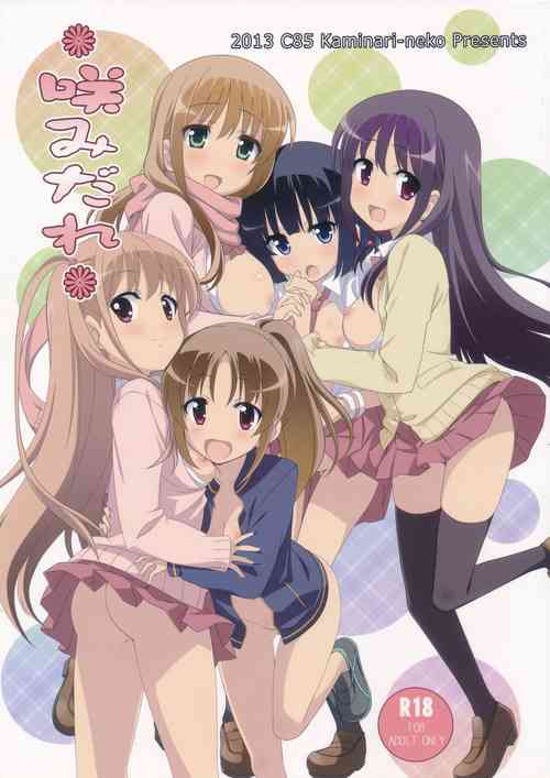 咲みだれ图