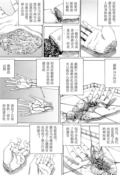 第151頁圖